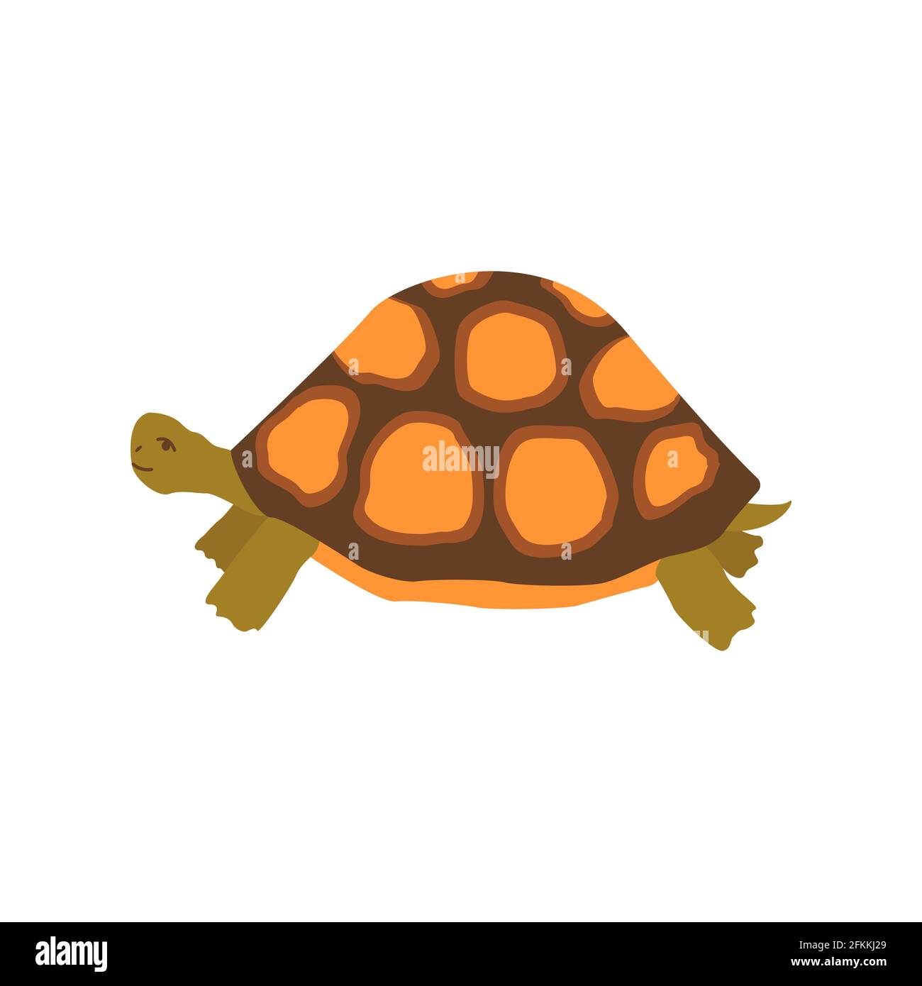 Cute happy turtle. Colorful vector isolated hand drawn illustration ...