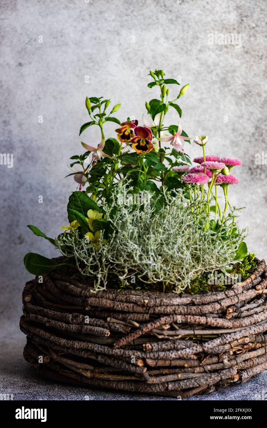 Easter floral composition with spring flowers and colored eggs Stock ...