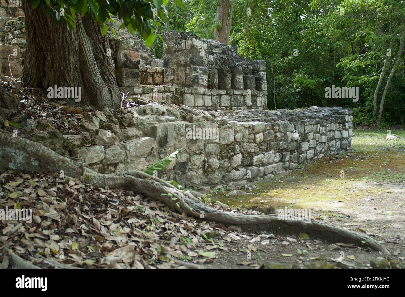 La zona arqueologica de Chicana se localiza a 6kms de la zona de Becan de la que fue contemporanea junto con Xpuhil Rio Bec Hormiguero Payan y Channa Stock Photo