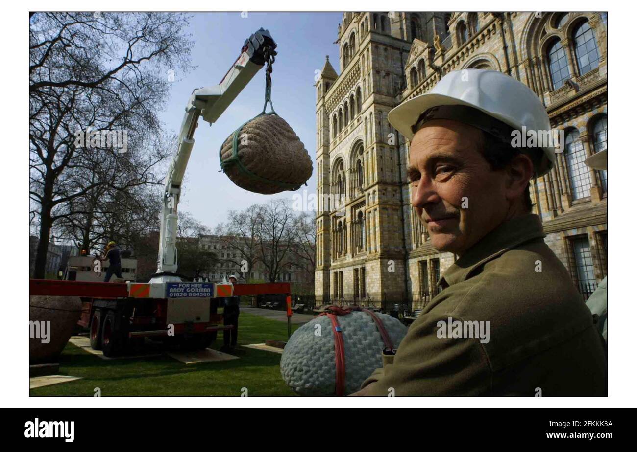 18 Tonnes of granite glacial boulder and bronze art, by British sculptor Peter Randall-Page was delivered to the Natural History Museums west lawn. The exhibition marks the start of Spring. The artist on right keeping an eye on the instalation.pic David Sandison 27/3/2003 Stock Photo