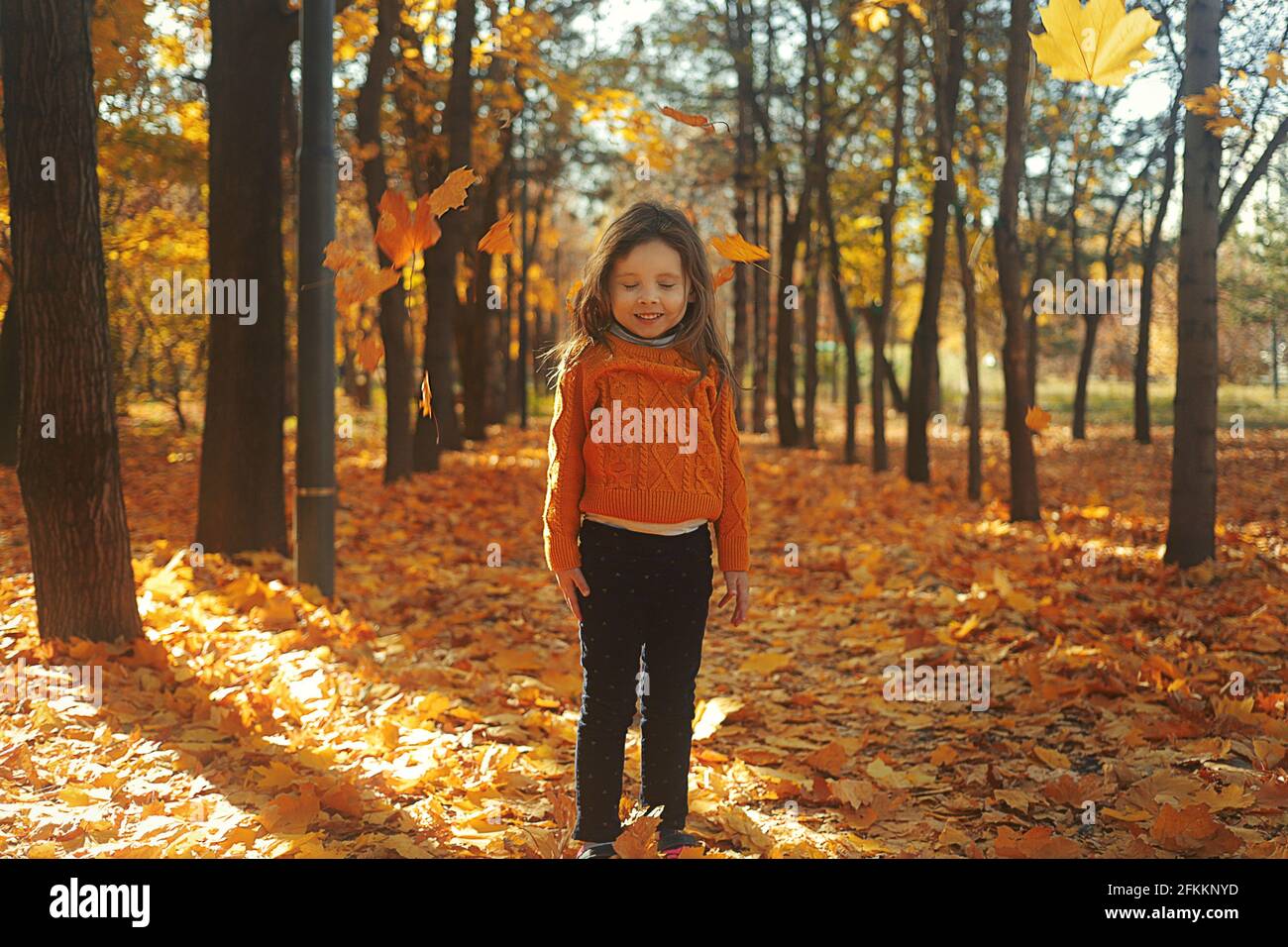 Cute happy little girl playing with fallen leaves in morning autumn ...