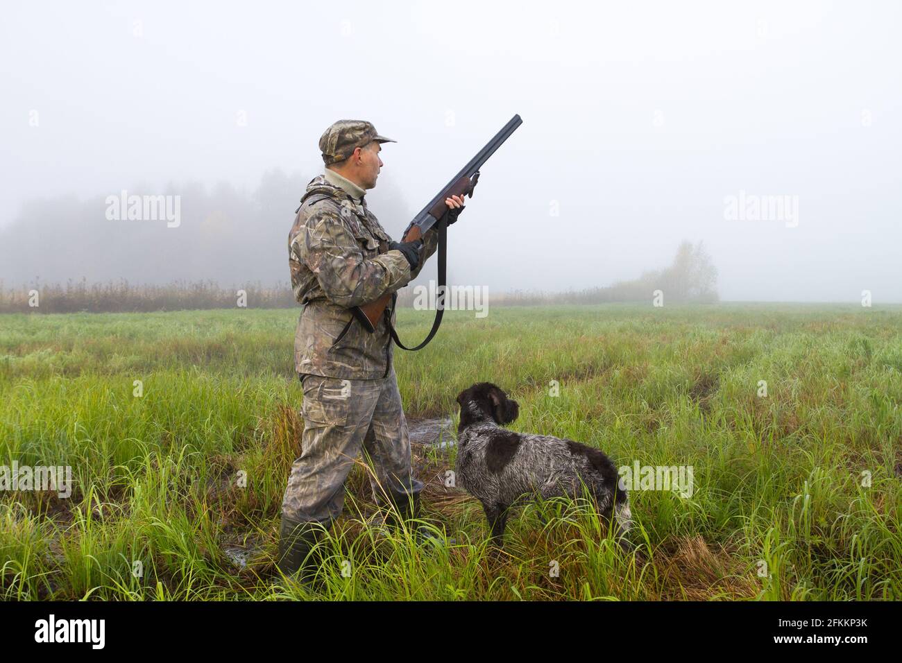 a hunter with a dog stands in a meadow on a foggy morning and holds a shotgun at the ready Stock Photo