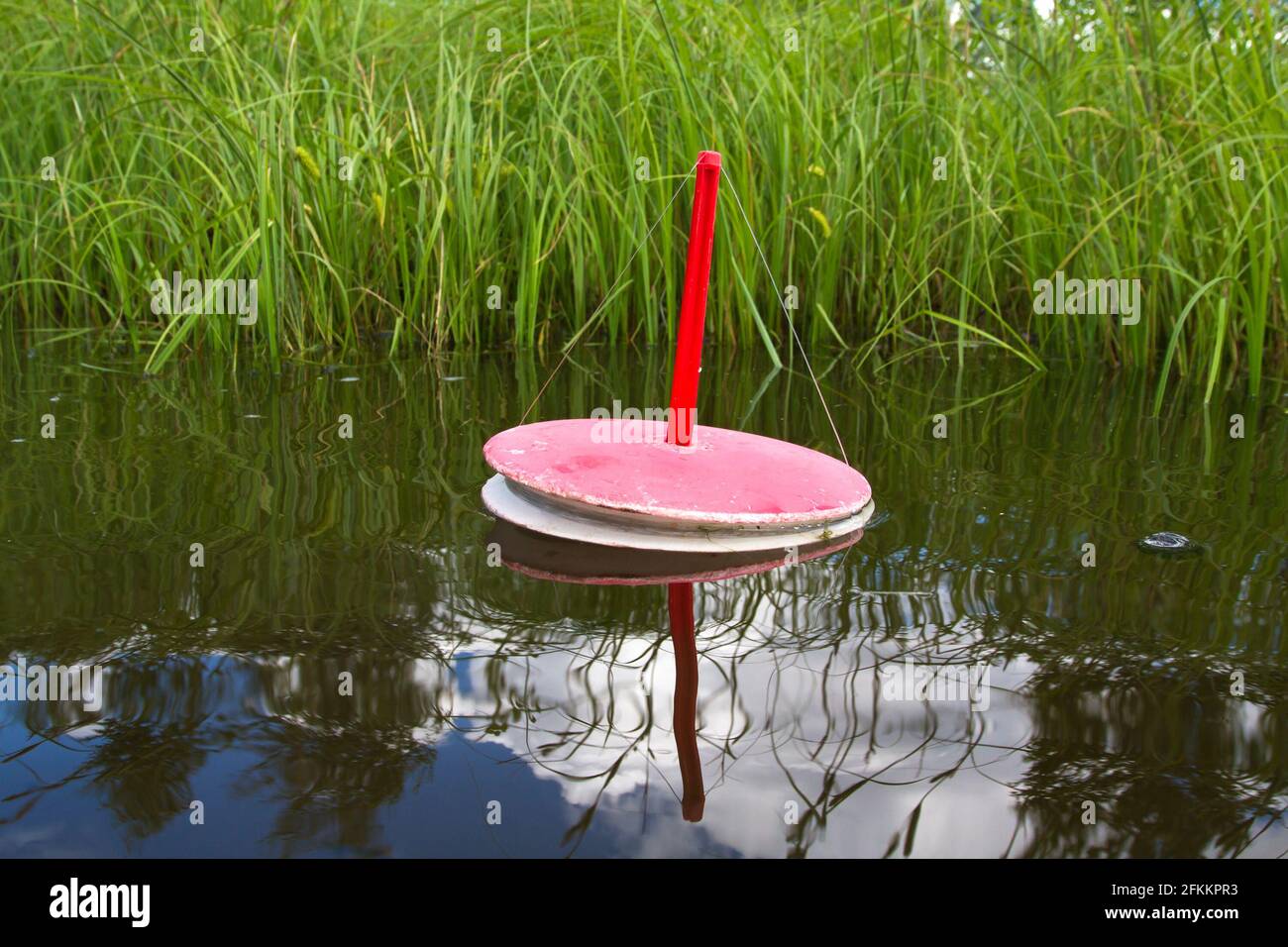 fishing trap for predatory fish floats on the lake near the reeds waiting for the bite Stock Photo
