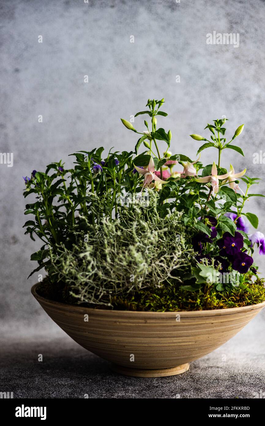 Easter floral composition with spring flowers and colored eggs Stock ...