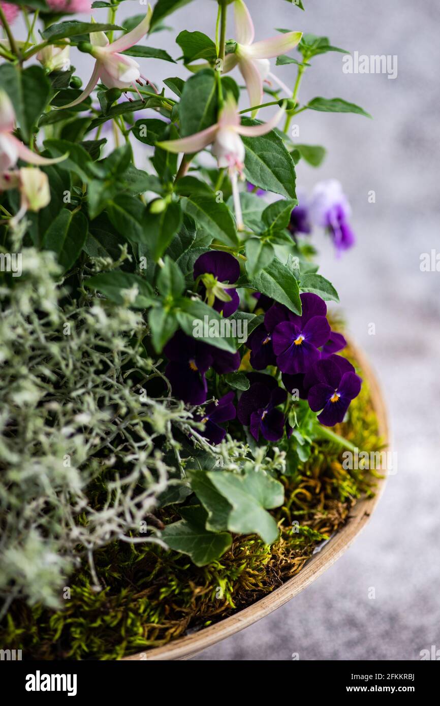Easter floral composition with spring flowers and colored eggs Stock ...