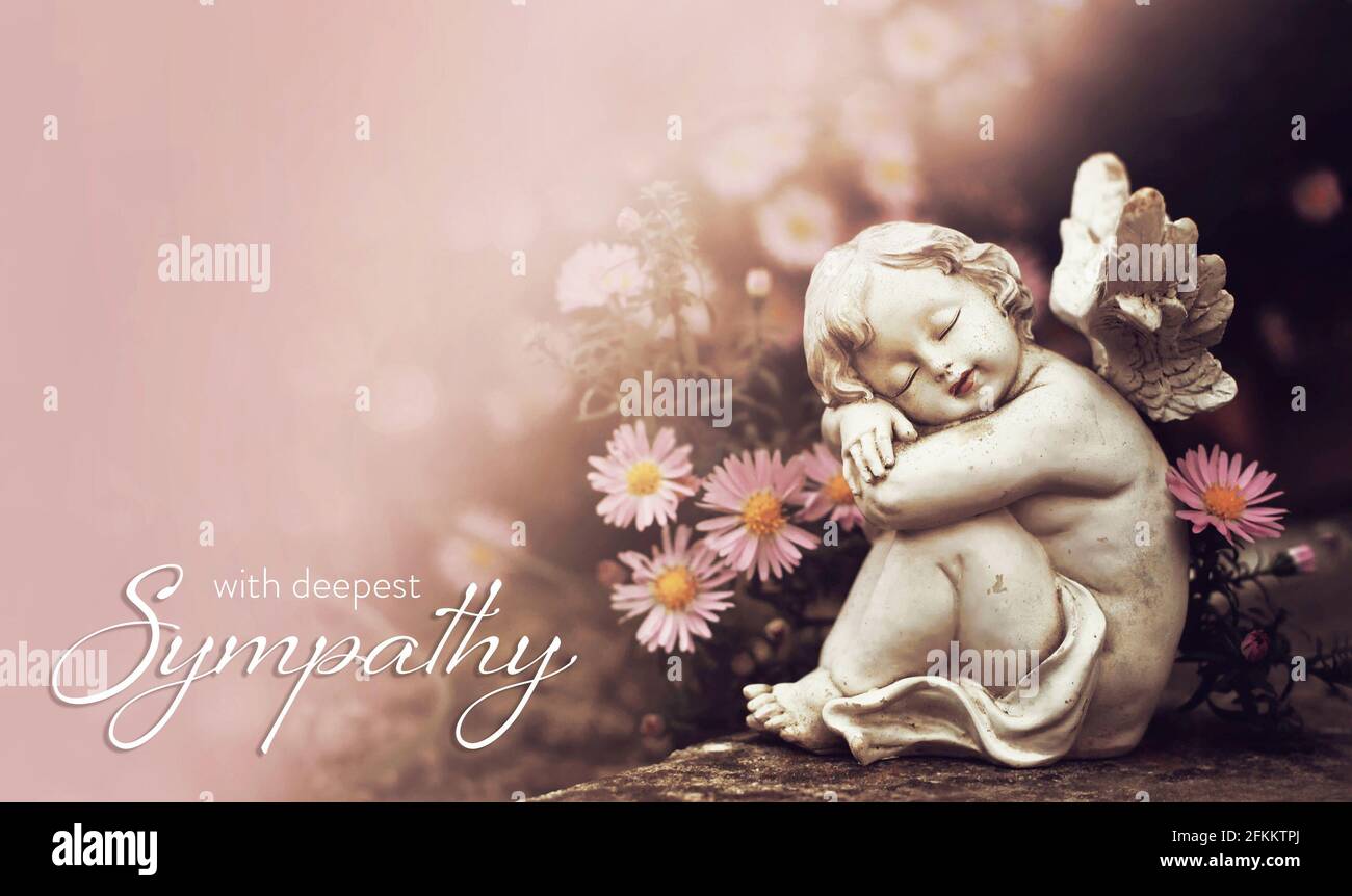 Sympathy card with sleeping angel and aster flowers Stock Photo