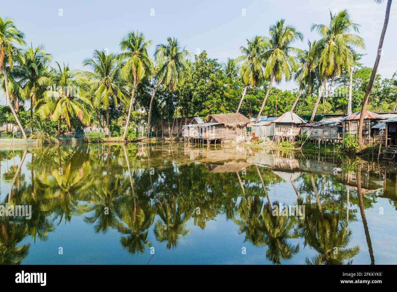 Palms and village houses reflecting in a pond in Bagerhat, Bangladesh ...