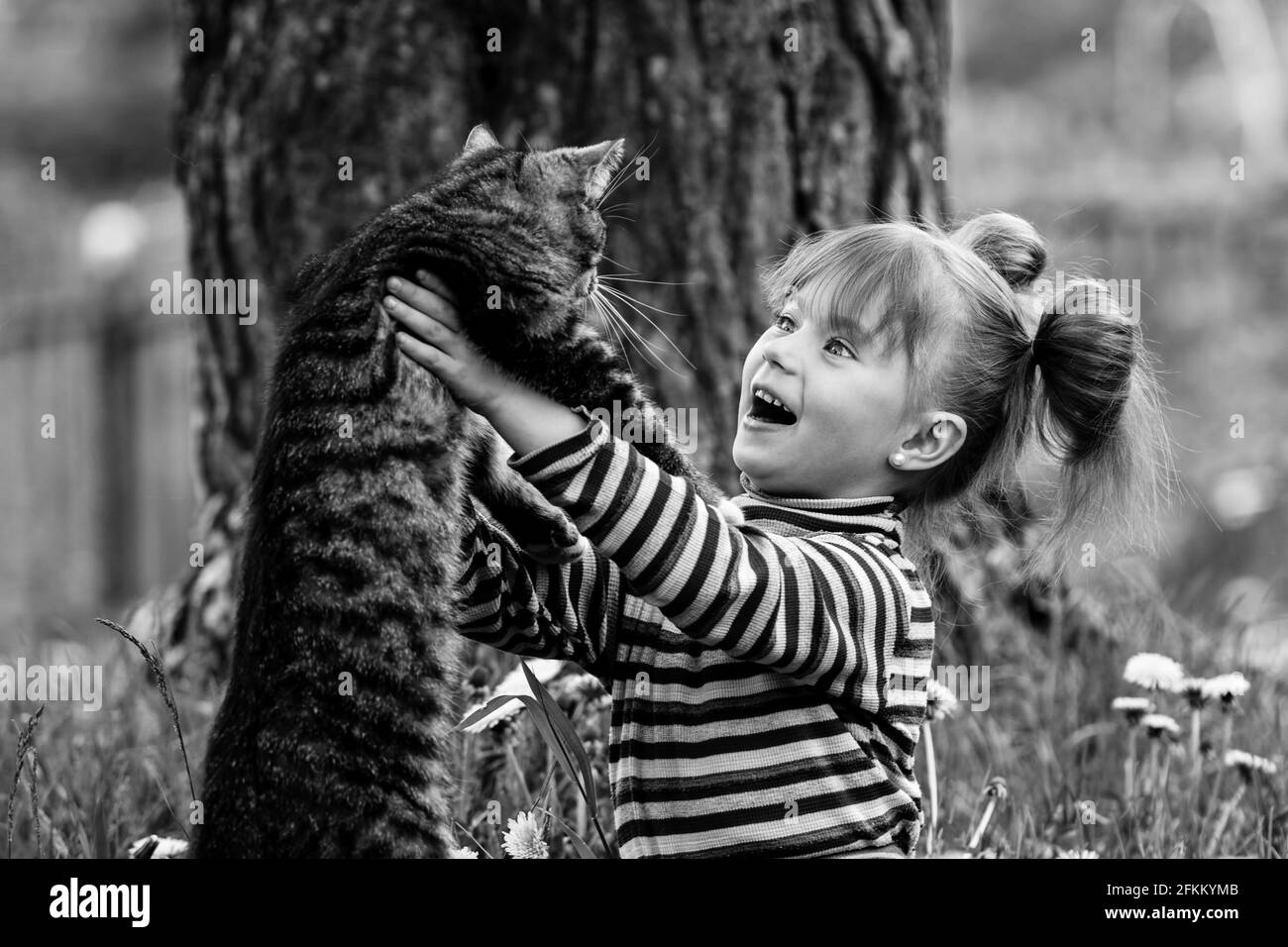 Funny little girl playing with a cat outdoors. Black and white photo ...