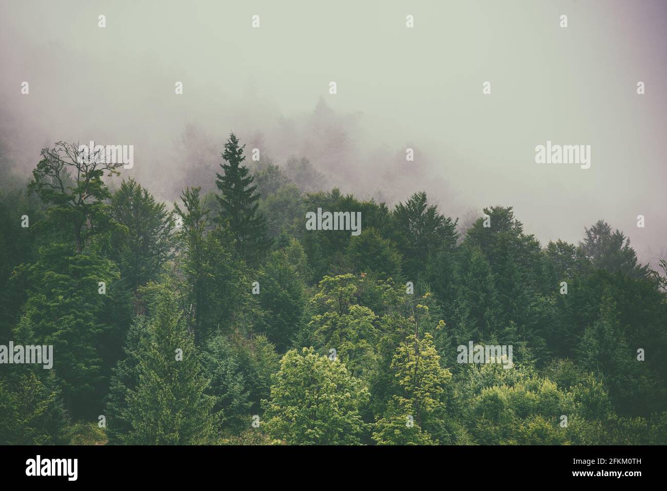 Misty mountain landscape Stock Photo - Alamy