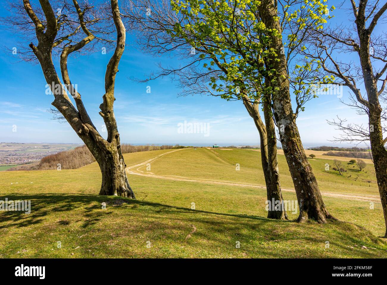 The South Downs Way heading south east as viewed from the ramparts of Chanctonbury Ring in the South Downs National Park, West Sussex, UK. Stock Photo