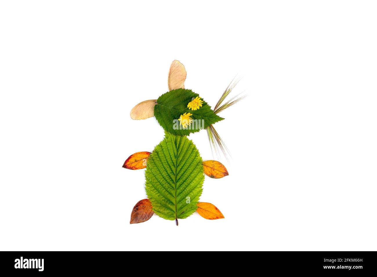 DIY leaf craft, various colorful dead leaves Stock Photo Alamy