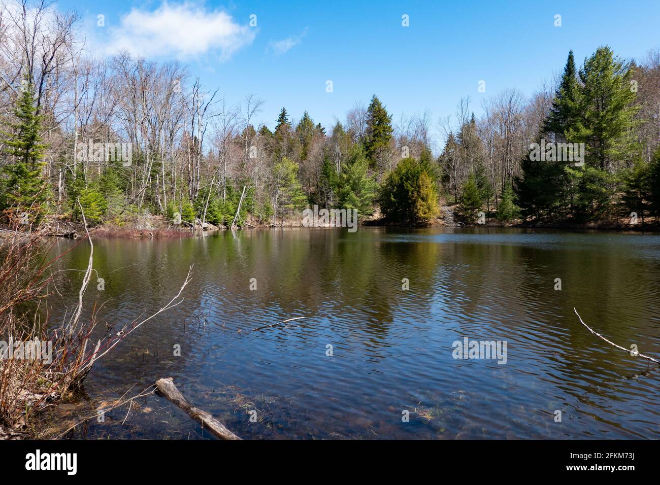 A small unnamed pond in the Adirondack Mountains, NY wilderness in early spring. Stock Photo