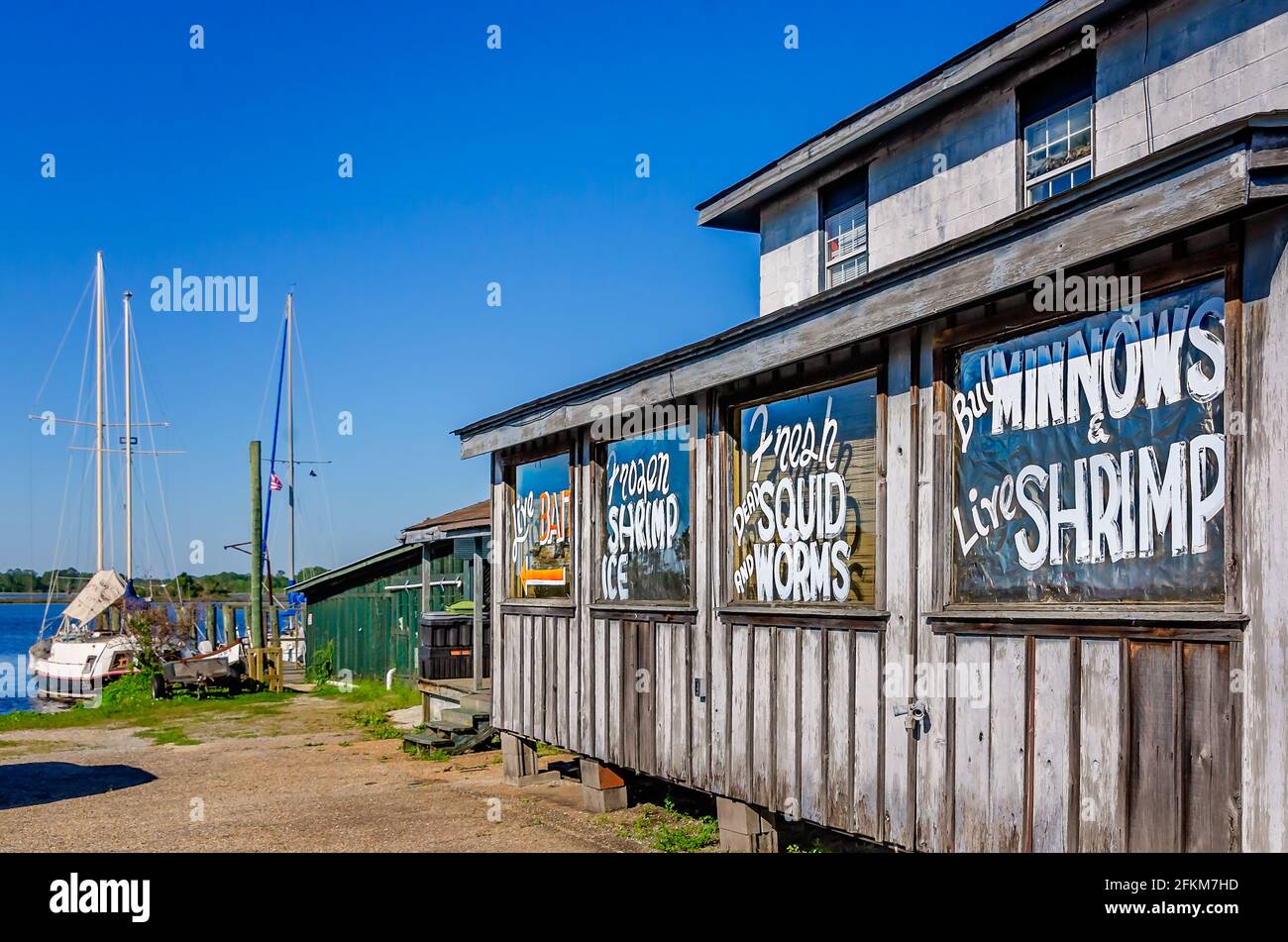 Marina bait hires stock photography and images Alamy
