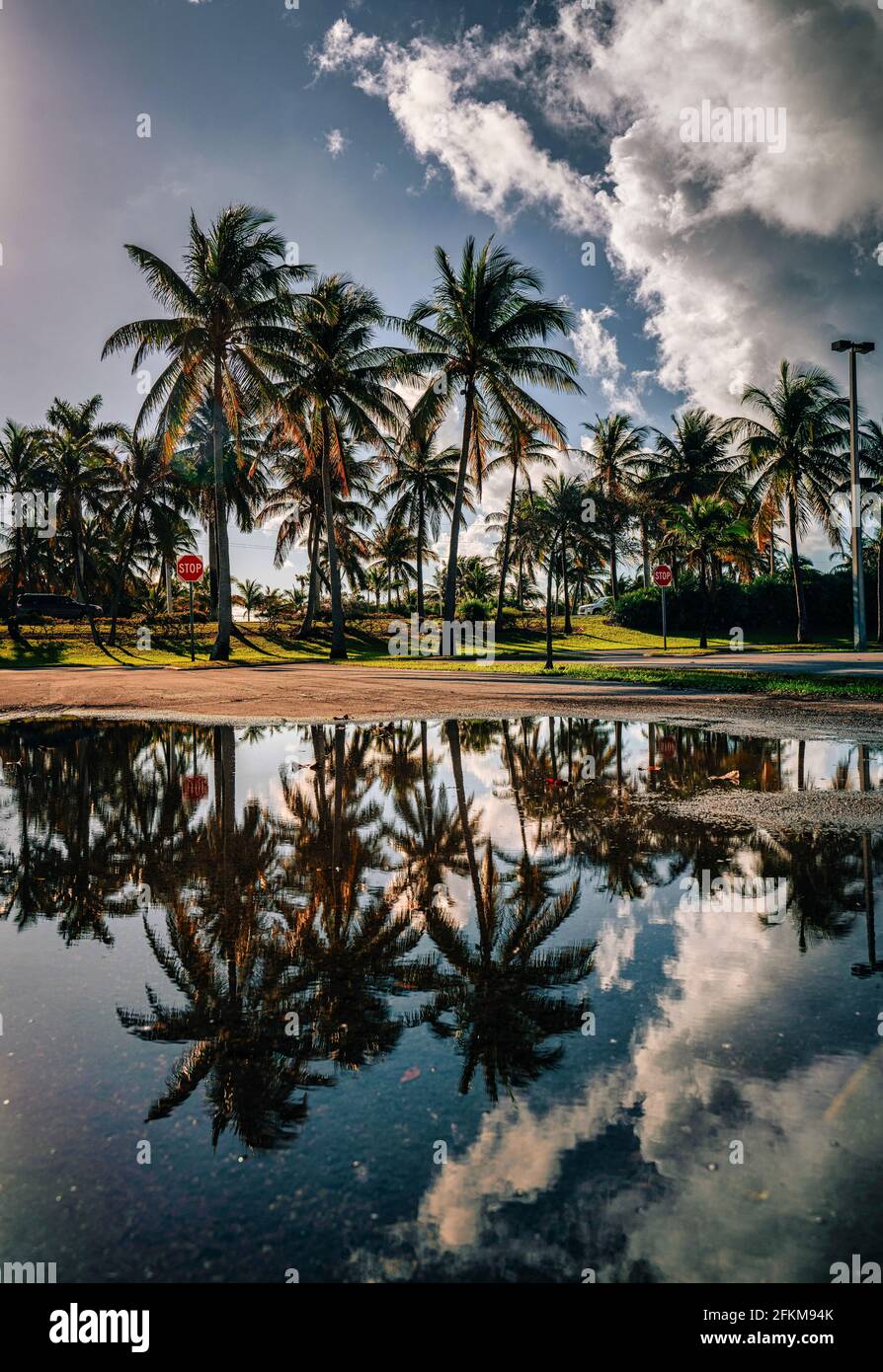 tropical place sunny isles beach florida reflections water Stock Photo
