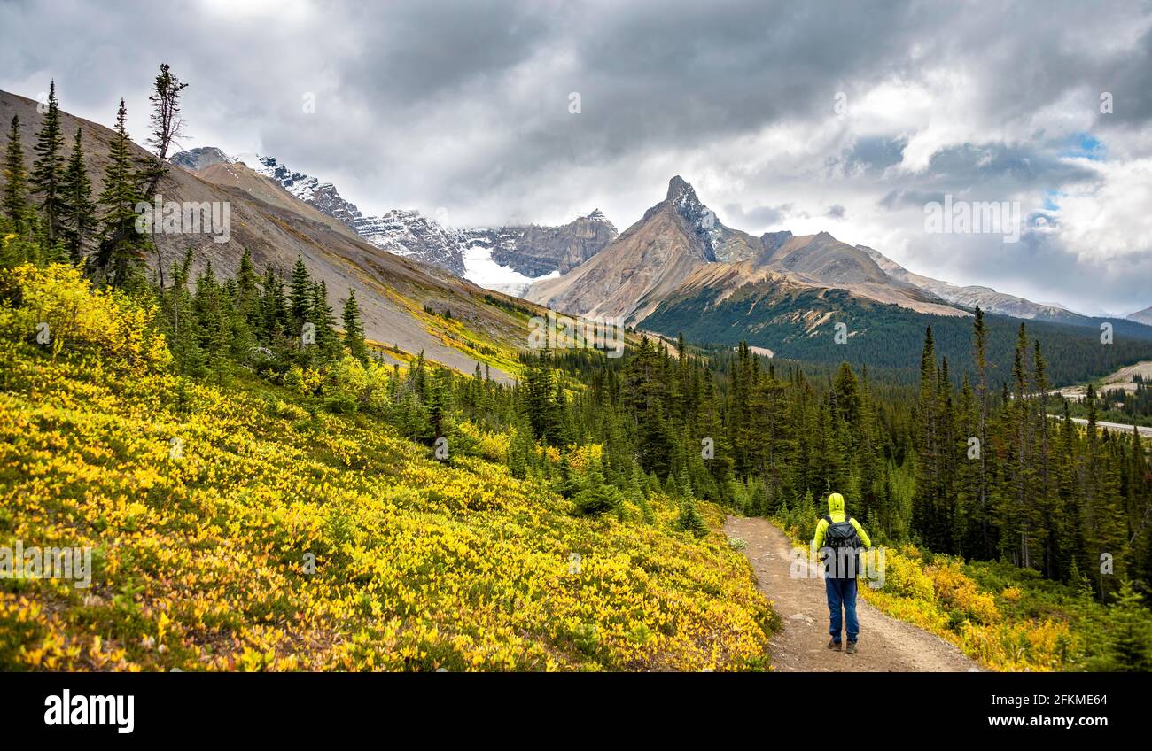 Hiker on hiking trail between autumnal bushes, view of mountain