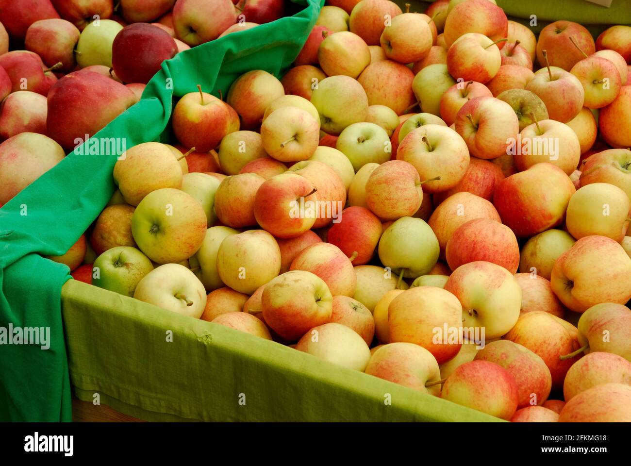 Apples 'Gloster' and 'Gala', apple Stock Photo Alamy