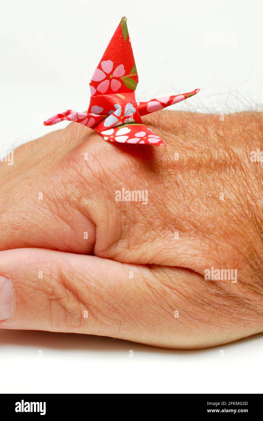 Origami crane on hand, Origami, Japanese paper folding art, paper art