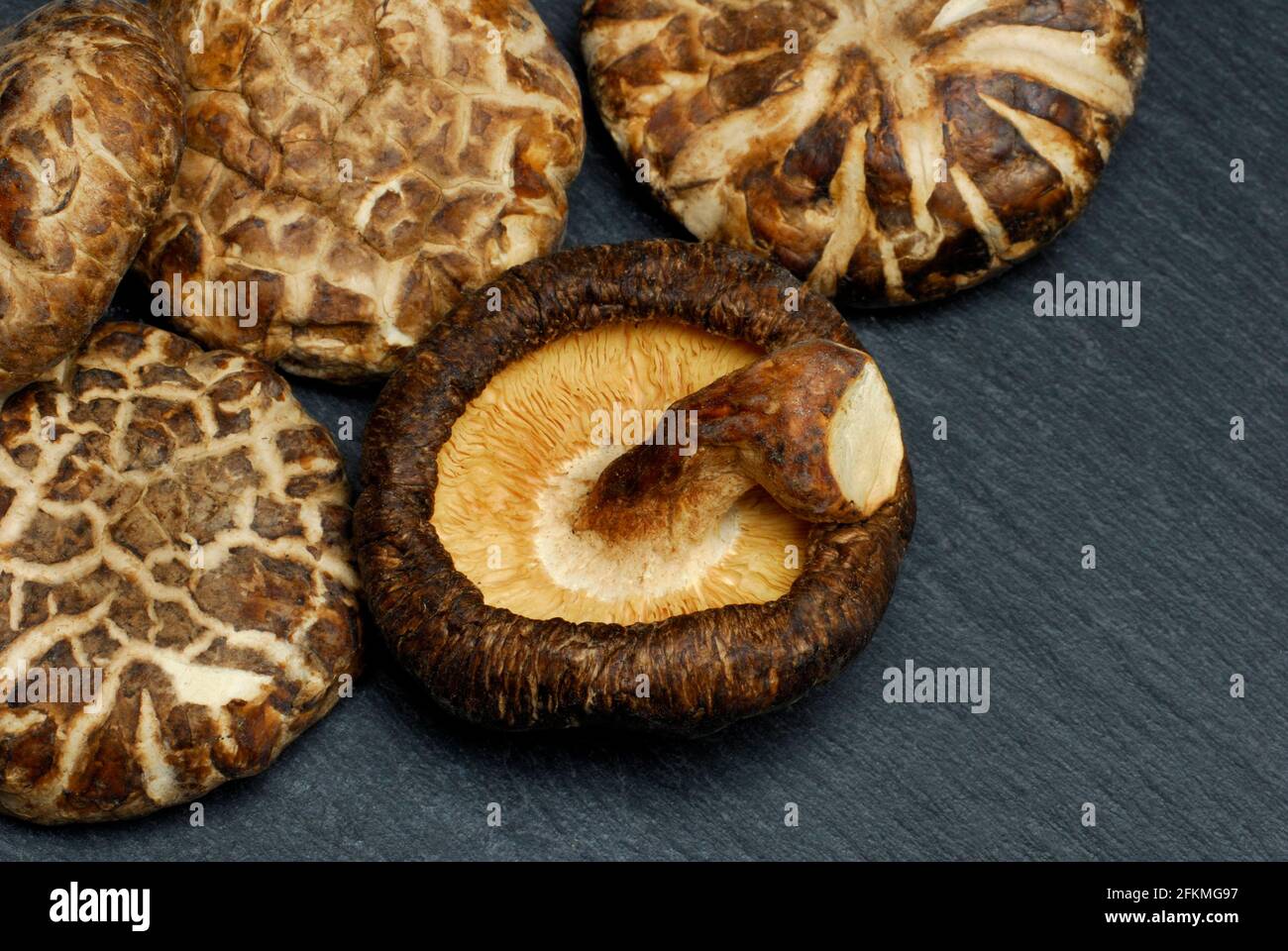Shitake mushrooms, dried, Shiitake (Lentinus edodes) Shitake, medicinal mushrooms Stock Photo