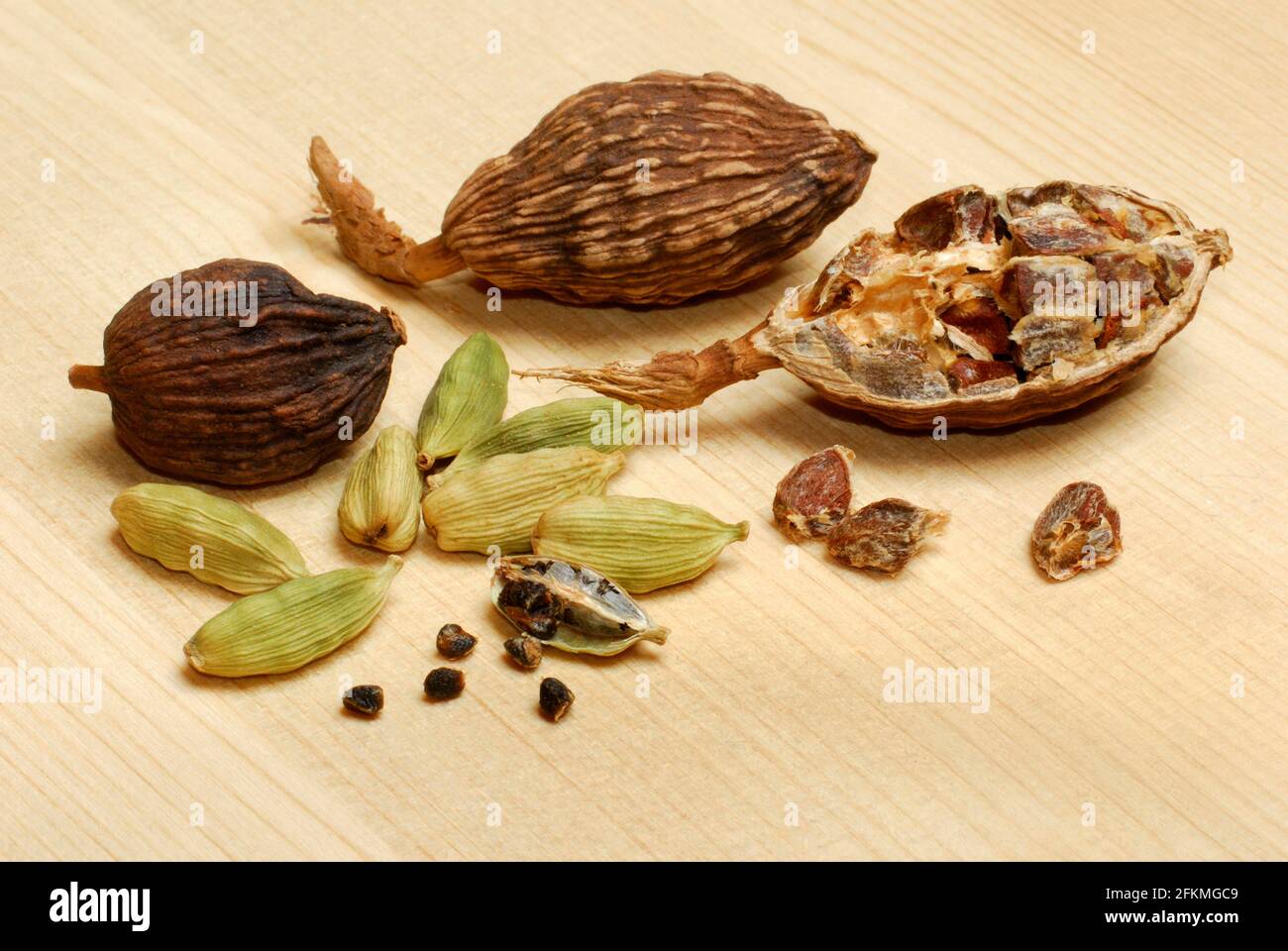 Black cardamom (Amomum subulatum) and Cardamom (Elettaria cardamomum