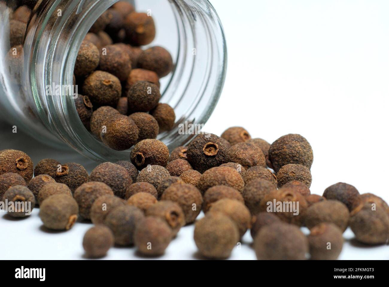 Allspice (Pimenta dioica officinalis) clove pepper, Jamaica pepper, new