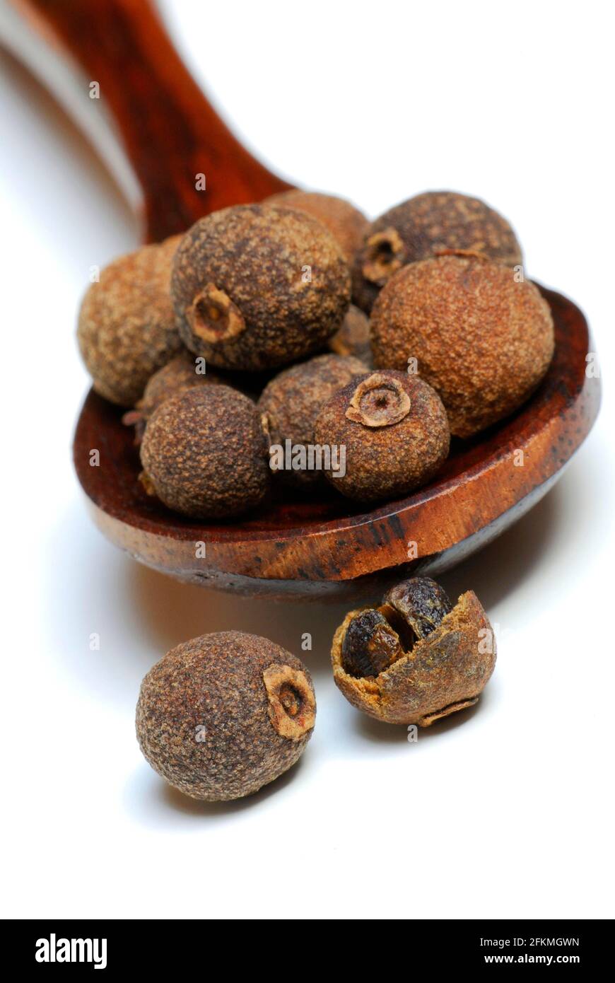 Allspice (Pimenta dioica officinalis) clove pepper, Jamaica pepper, new