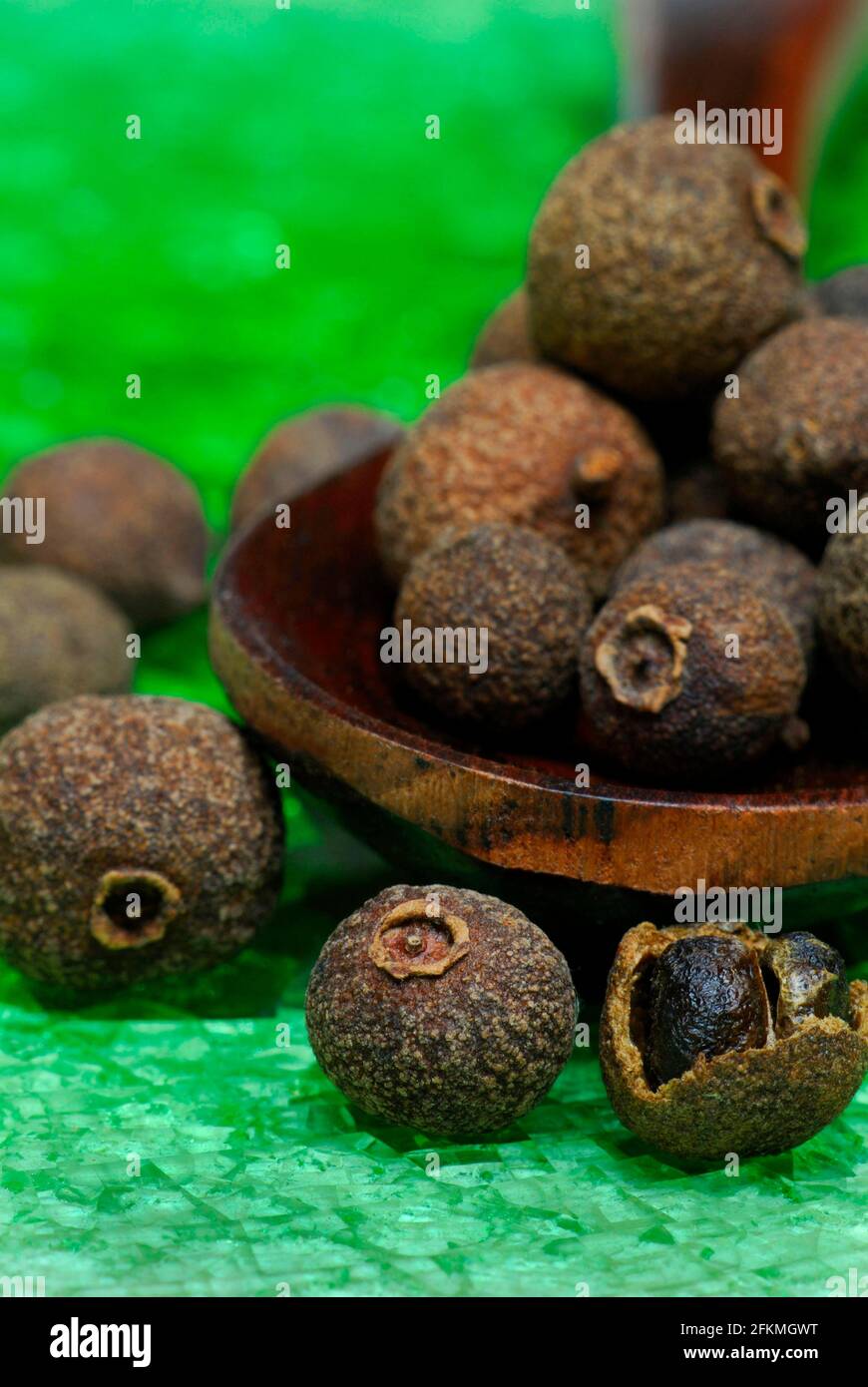 Allspice (Pimenta dioica officinalis) clove pepper, Jamaica pepper, new