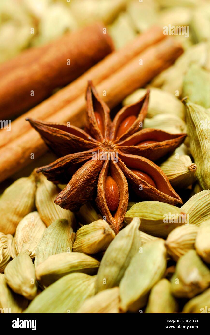 Star anise (Illicium verum) , cinnamonrod (Cinnamomum) cardamom (Elettaria cardamomum) Stock Photo