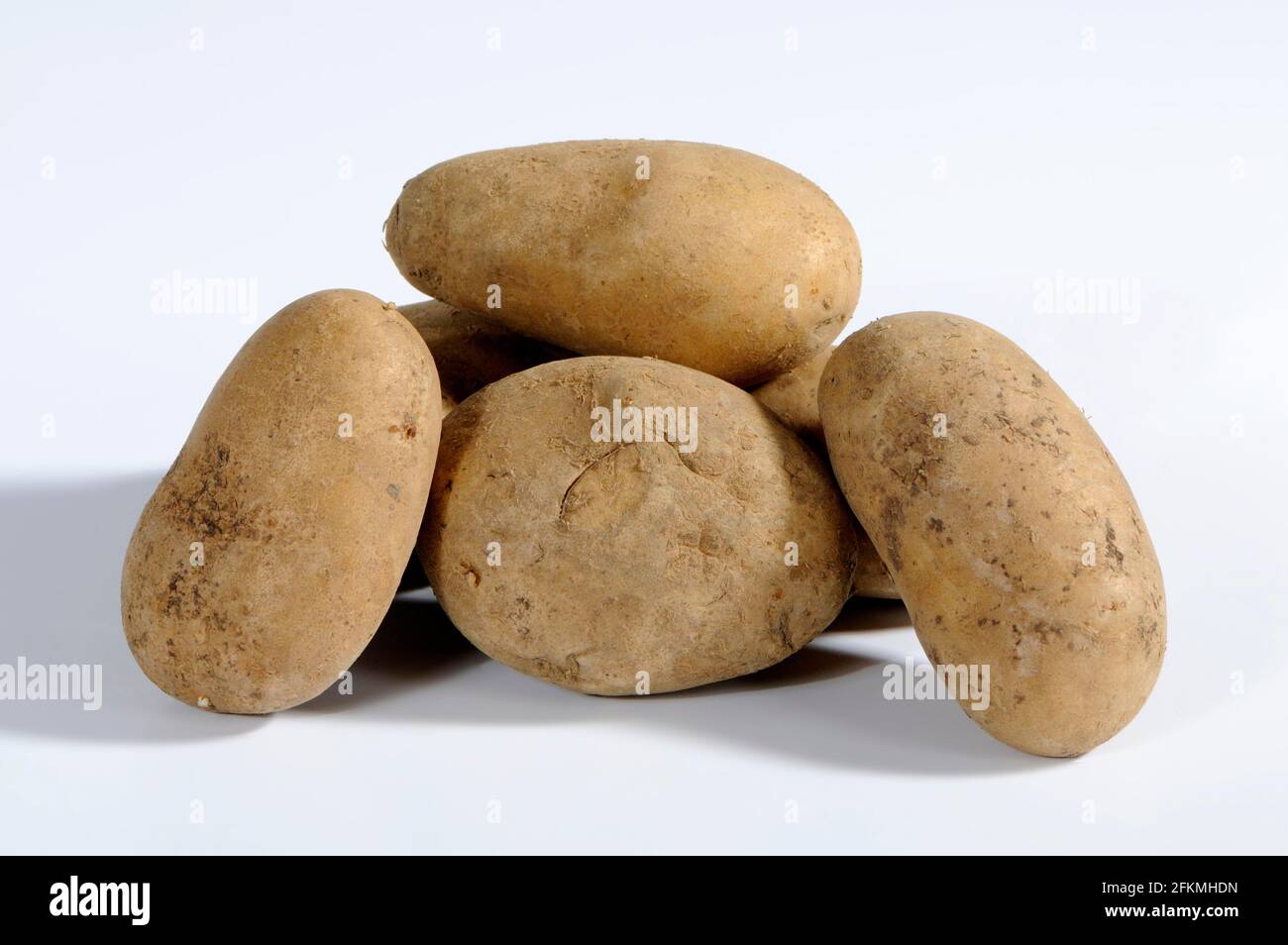 Potatoes (Solanum tuberosum) Heath kidney Stock Photo