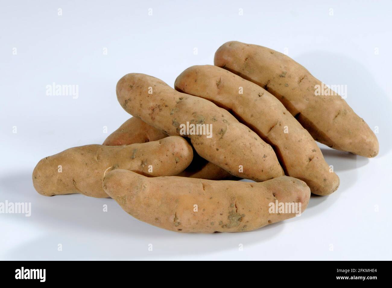 Potatoes (Solanum tuberosum) Bamberg croissants Stock Photo
