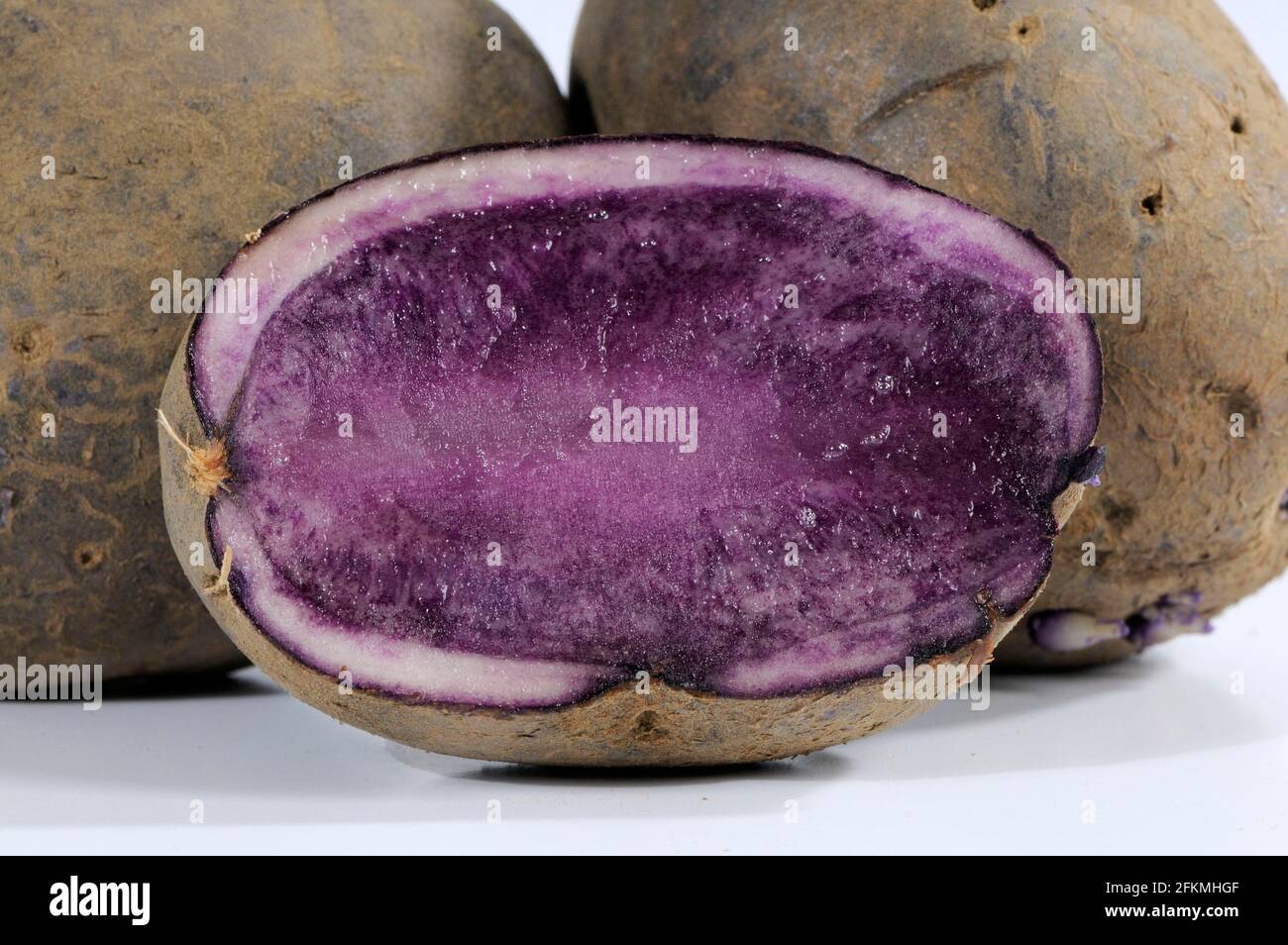 Potatoes (Solanum tuberosum) Blue swede Stock Photo