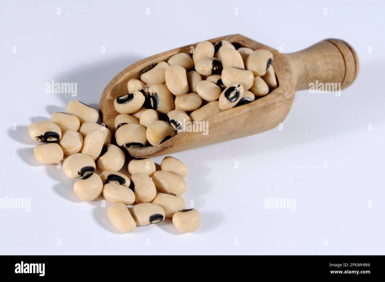 Cowpeas (Vigna unguiculata), blackeyed bean, cowpea, woodpea Stock Photo Alamy