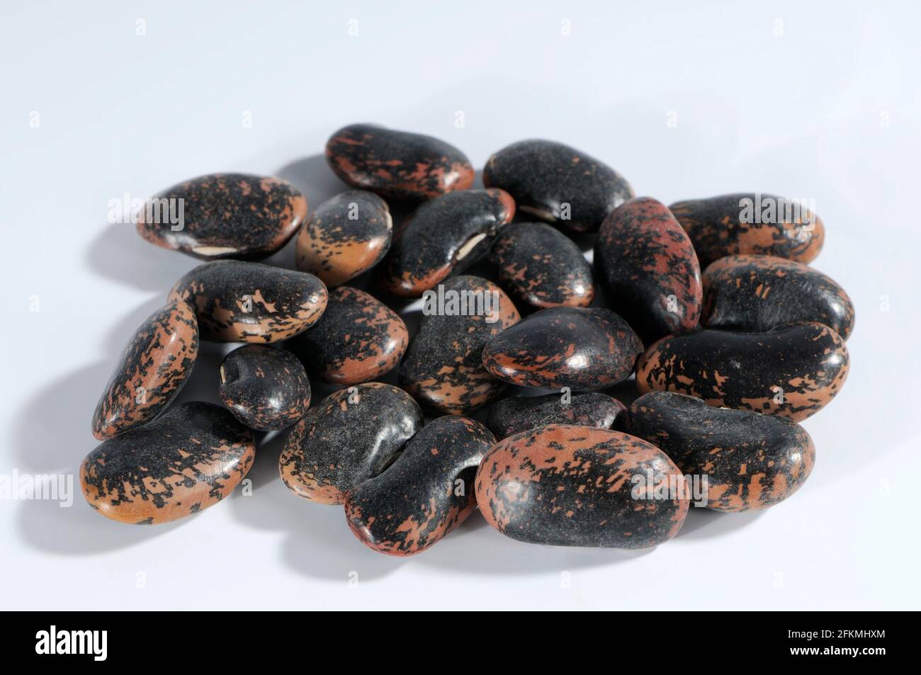 Fire beans (Phaseolus multiflorus), Beetle beans (Phaseolus coccineus) Stock Photo