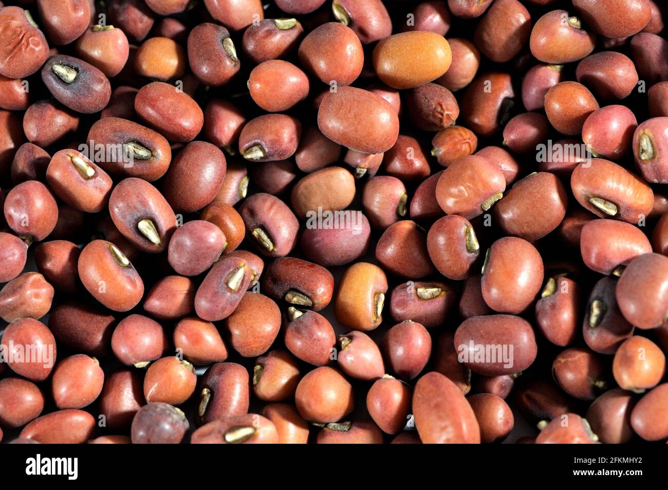 Porno video: Onam oglini sikadi