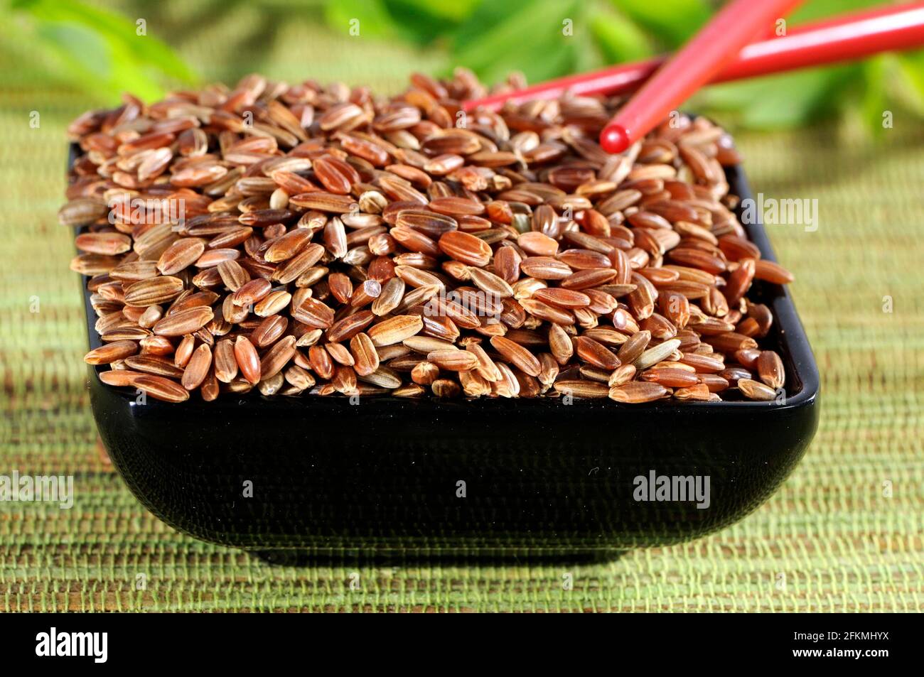 Camargue rice (Oryza), husk Stock Photo - Alamy