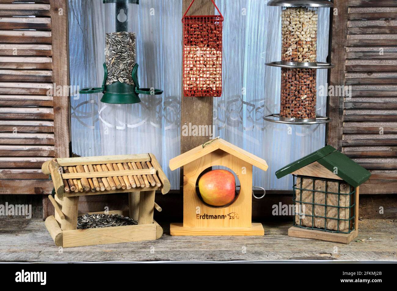 Various feeders for winter feeding, sunflower seeds Stock Photo Alamy