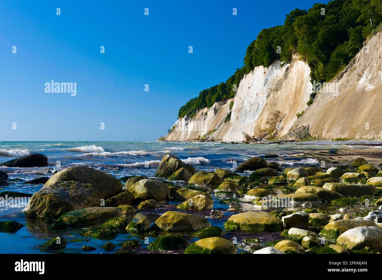 Chalk cliff coast, Jasmund National Park, Island of Ruegen, Mecklenburg ...