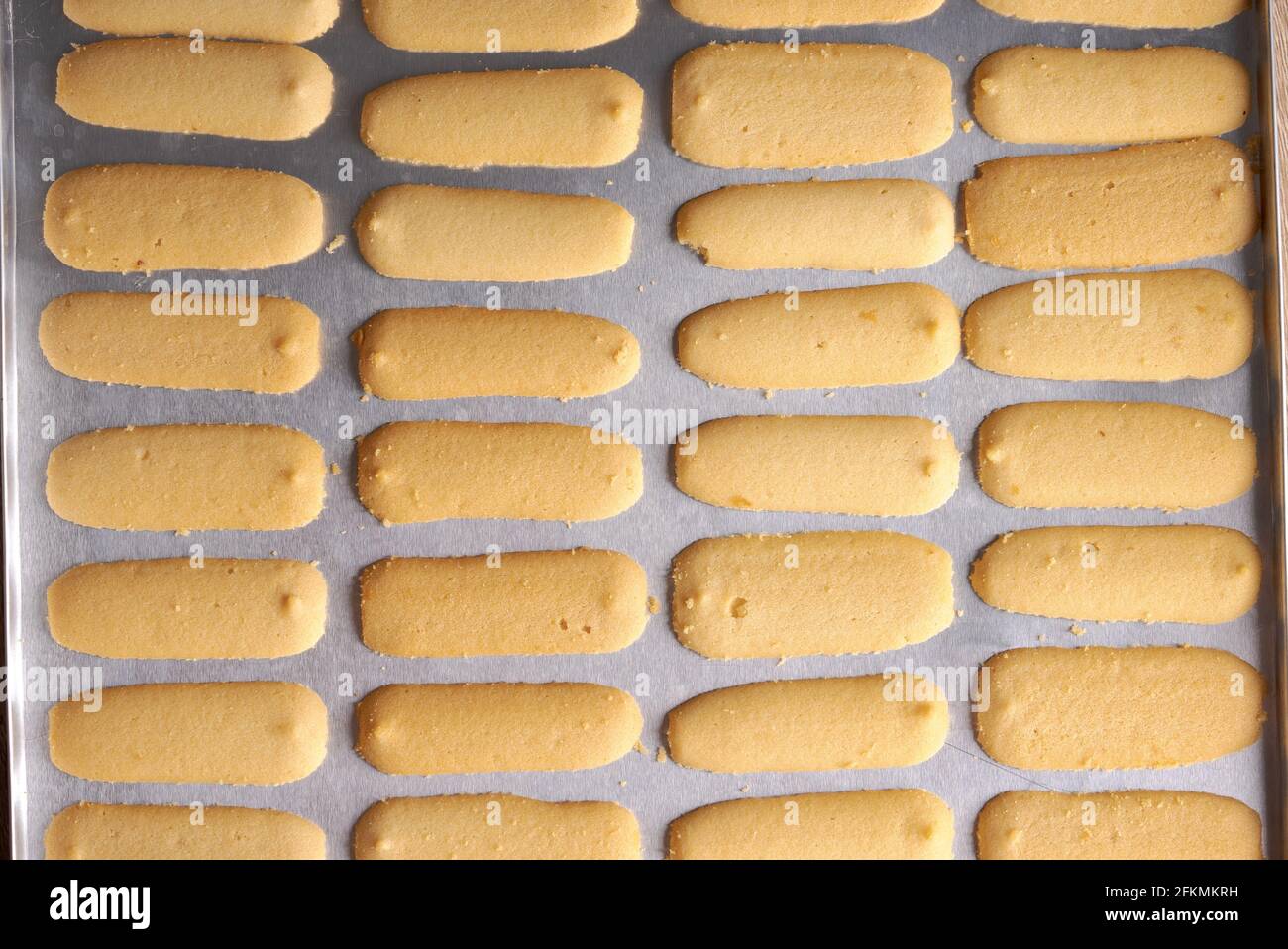 Katte High Resolution Stock Photography and Images - Alamy