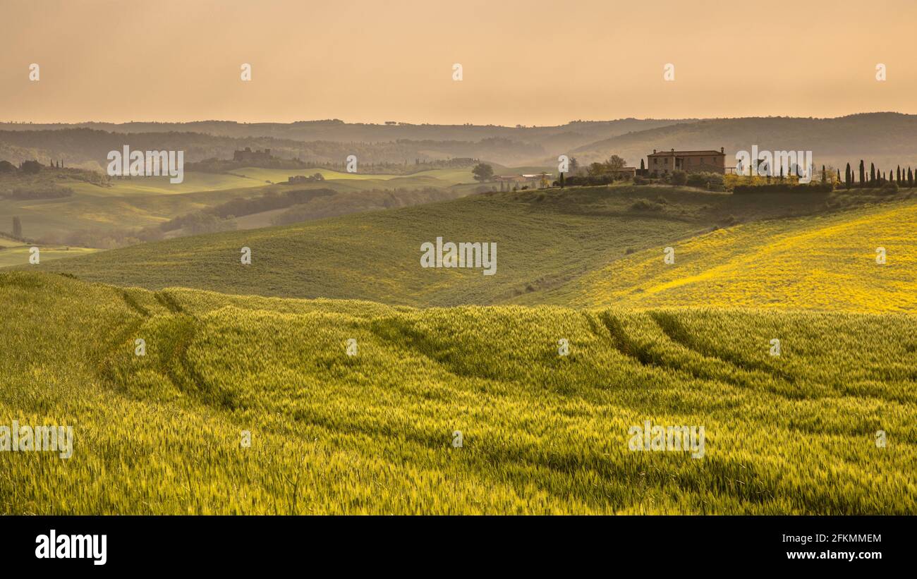 Tuscany flower fields hires stock photography and images Alamy