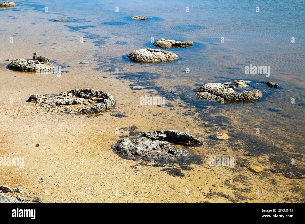 Stromatolite fossils hires stock photography and images Alamy