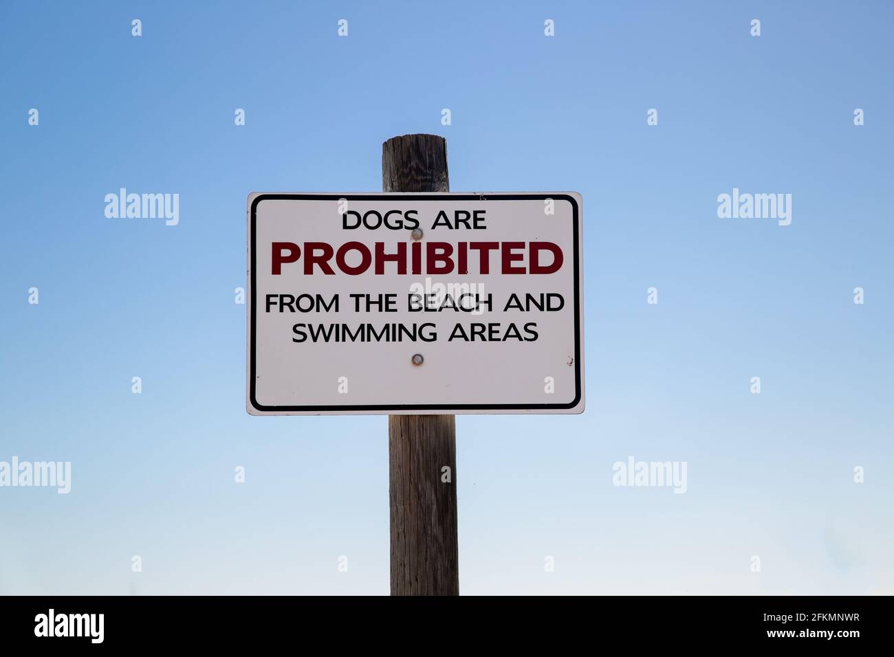 Dogs prohibited from the beach and swimming areas sign on wooden post with blue sky background Stock Photo