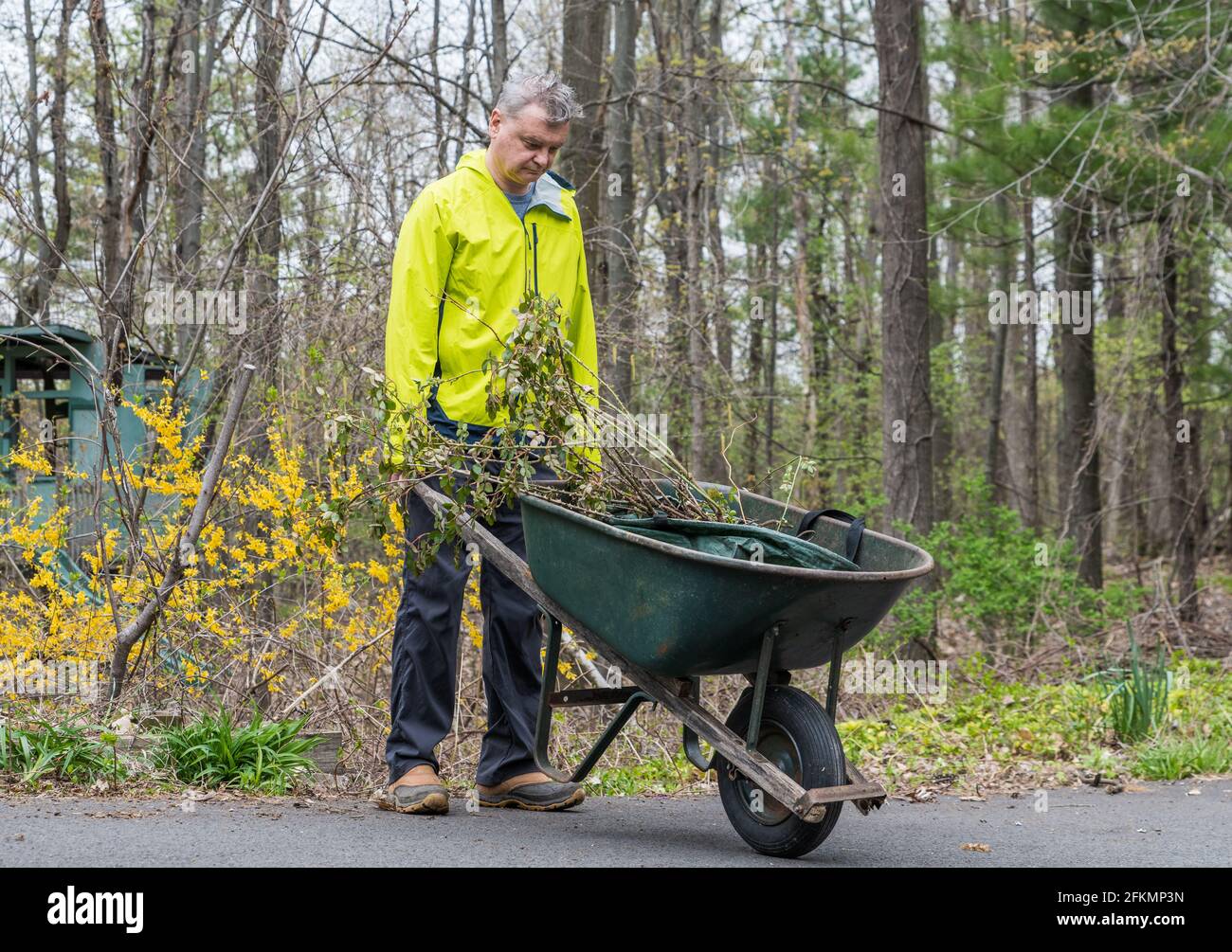 Pushing a Wheelbarrow In an American Garden Stock Photo