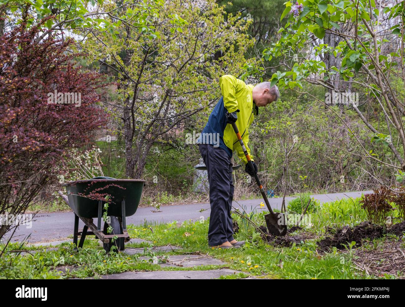 Planting an American Garden In Northeast USA Stock Photo