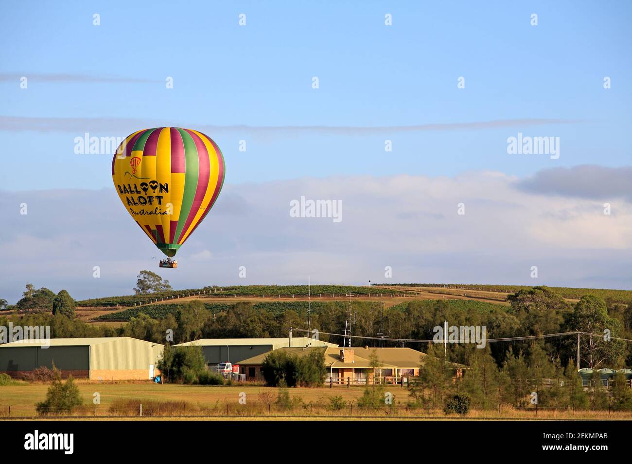 Hot Air Balloon by Balloon Aloft Australia flying over grape vines in the Hunter Valley, Pokolbin, NSW, Australia Stock Photo