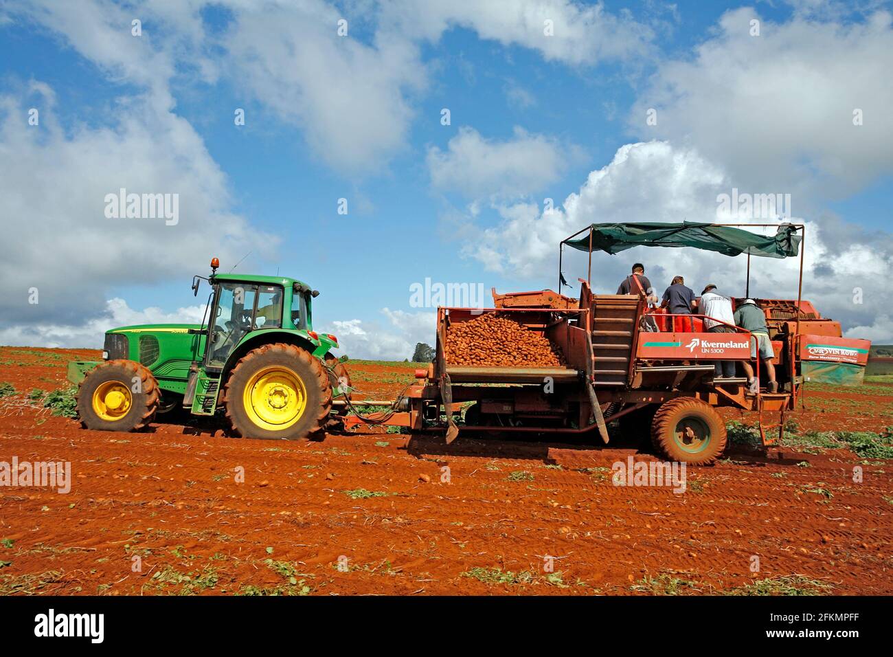 Harvesting potatoes using a John Deere 6620 tractor and Kverneland UN5300 potato harvester. There are four farm workers standing on the machine Stock Photo
