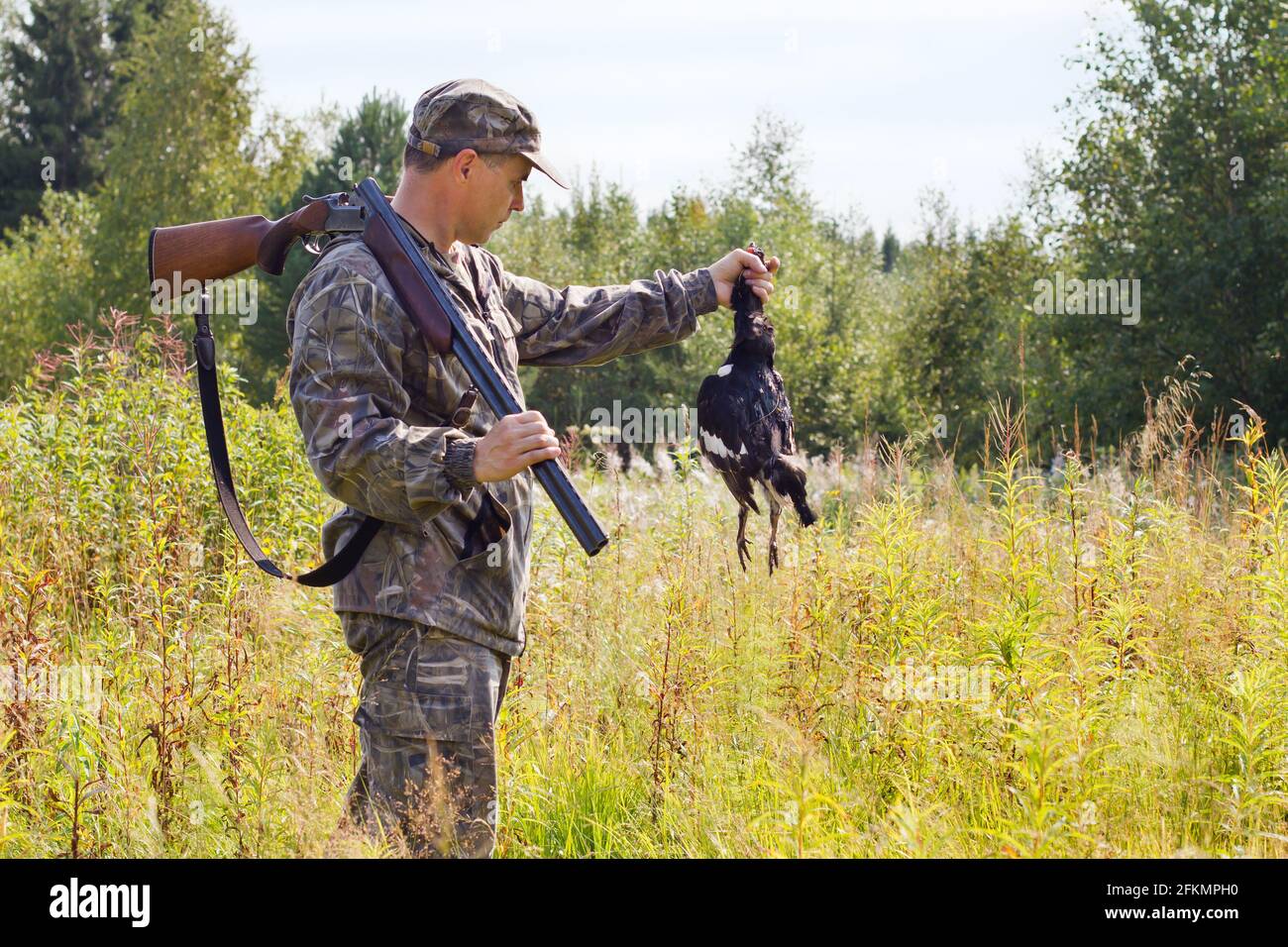 the hunter with a shotgun holds in his hand a hunting trophy - downed black grouse Stock Photo