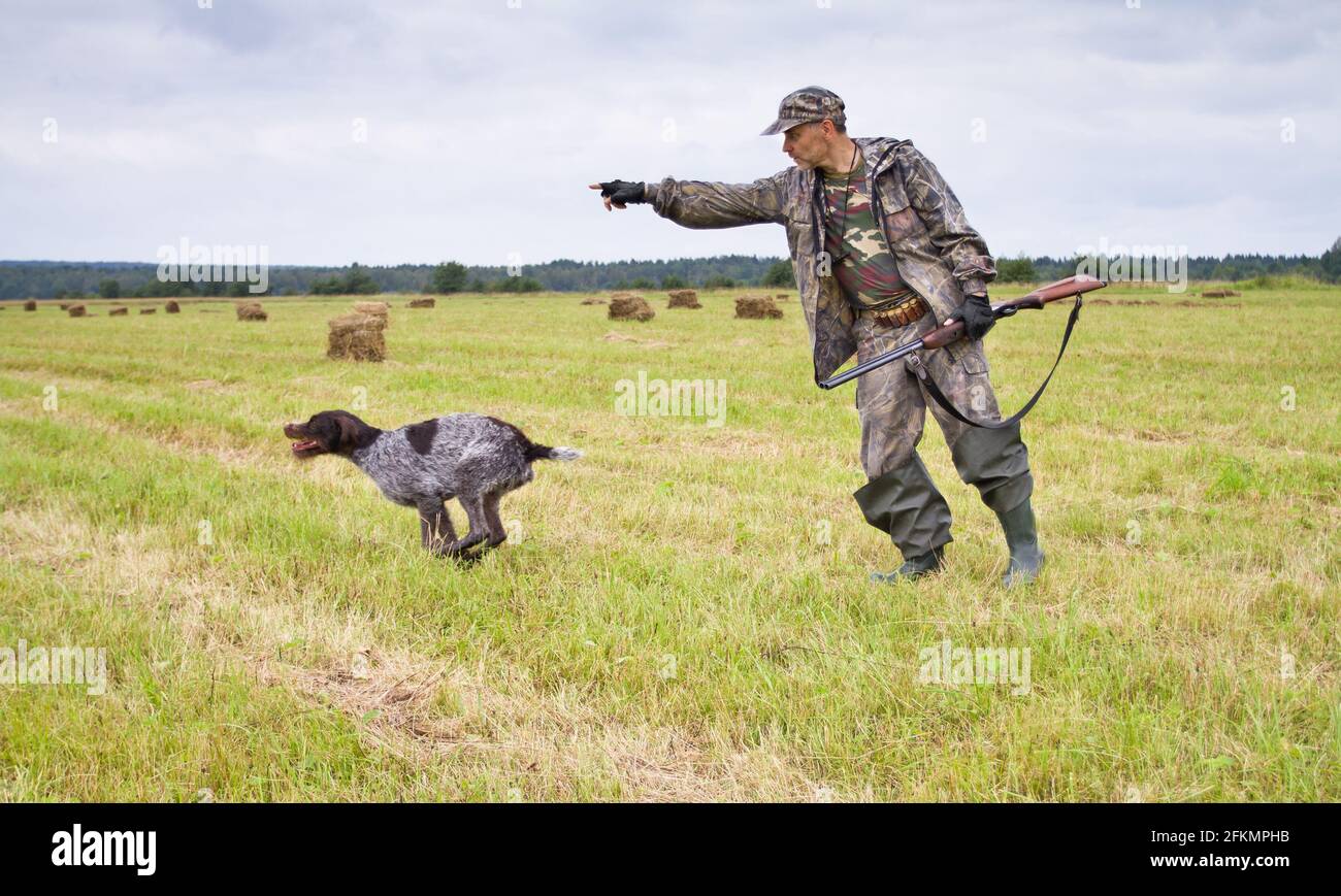 the hunter sends the hunting dog to look for game with a hand gesture in a mown meadow Stock Photo