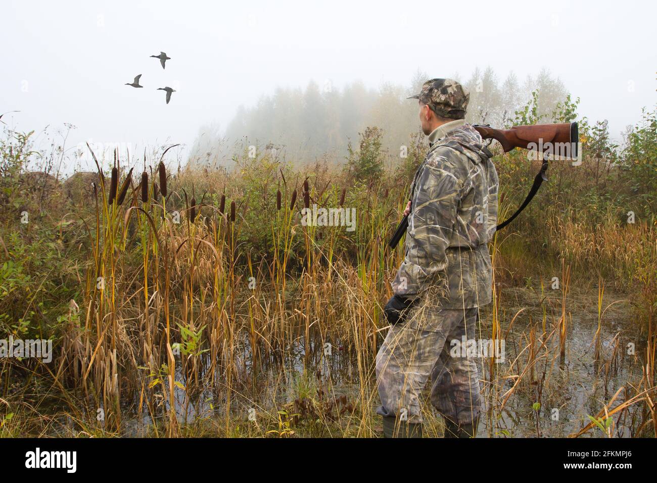 a hunter with a shotgun on his shoulder watches the ducks fly away on a foggy morning Stock Photo