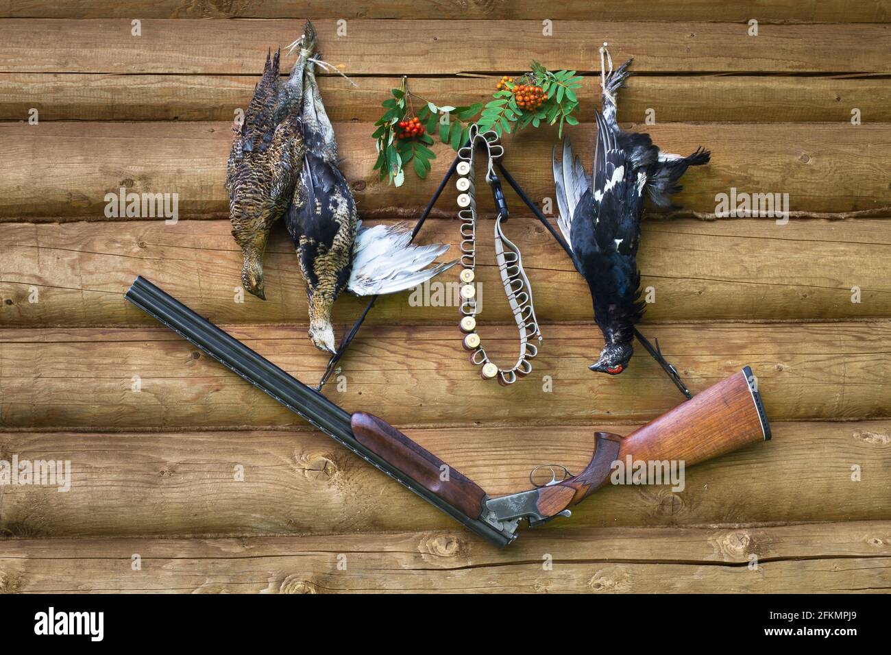 hunting equipment and three downed grouses hanging on the log wall Stock Photo