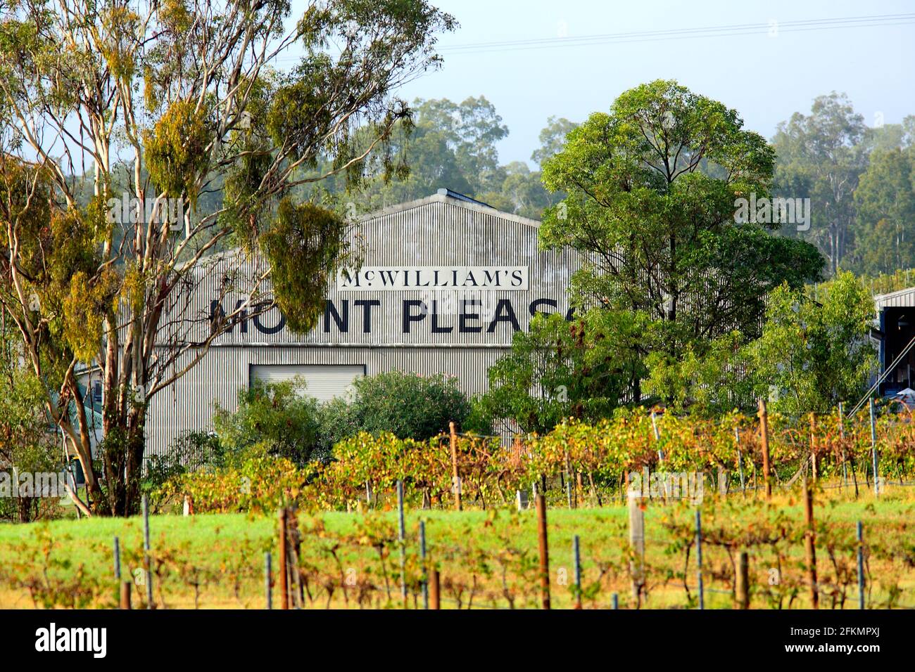 Cellar Door at McWilliams Mt Pleasant Winery, Pokolbin, Hunter Valley, New South Wales, Australia Stock Photo