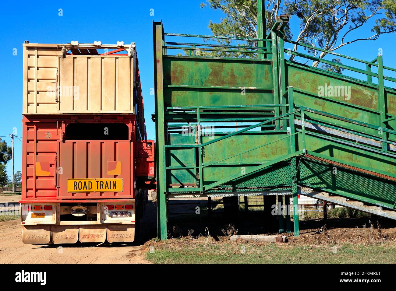 Rear of a cattle road train truck parked next to the cattle loading ramp. Narrabri, western NSW, Australia Stock Photo